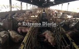 El hecho ocurri&oacute; en Villa Fiusa - C&oacute;rdoba.