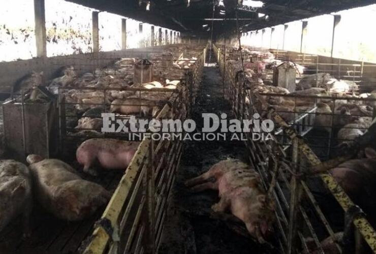El hecho ocurrió en Villa Fiusa - Córdoba.