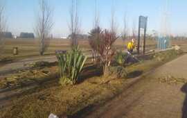 Foto: Municipalidad