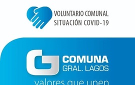 El modelo de credencial para identificar a los voluntarios va acompa&ntilde;ada adem&aacute;s por los datos de los postulantes.