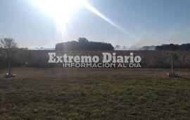 Imagen de Llaman a bomberos por incendio de pastizales