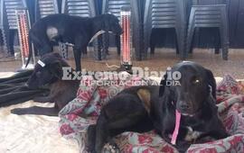 Se realiz&oacute; hoy en el quincho del Club Uni&oacute;n