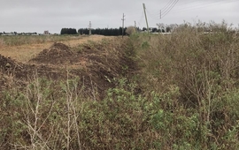 Foto: Municipalidad