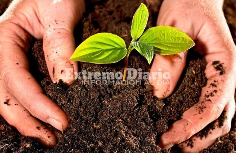 La iniciativa social ingres&oacute; al Concejo.