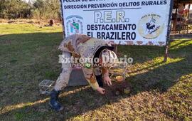 Imagen de Liberaci&oacute;n de aves