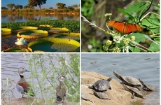 Imagen de El diputado Lenci propuso la creaci&oacute;n del cuerpo provincial de guardaparques