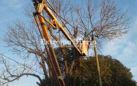 Foto: Municipalidad
