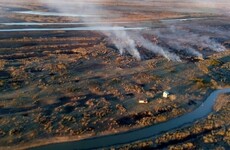 Imagen de Advierten que el ecosistema de las islas tardará años en recuperarse
