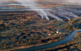 Imagen de Advierten que el ecosistema de las islas tardar&aacute; a&ntilde;os en recuperarse
