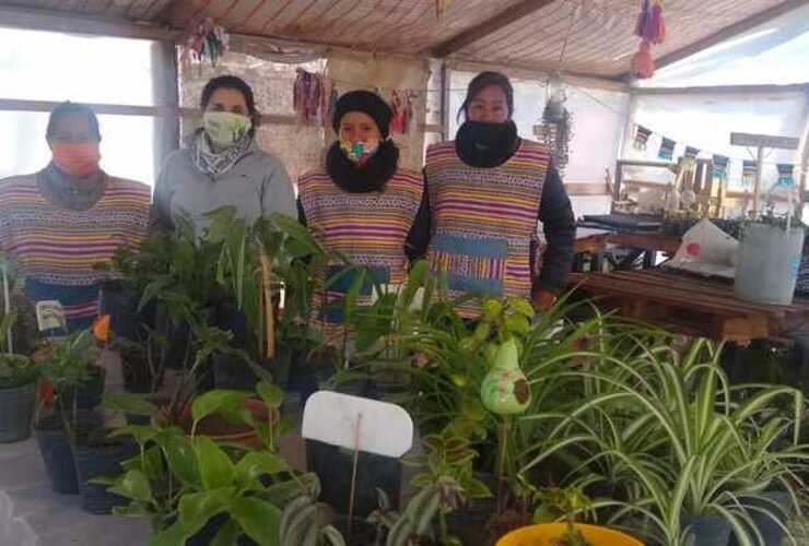 El vivero funciona sobre ruta 21 junto a la ex estación de trenes