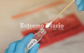 Seis se encuentran activos recuper&aacute;ndose.