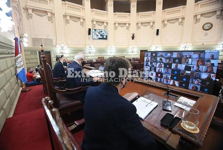 Imagen de La Cámara Baja realizó la primera sesión virtual