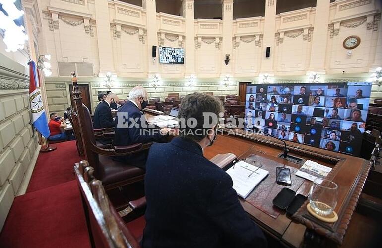 Imagen de La Cámara Baja realizó la primera sesión virtual