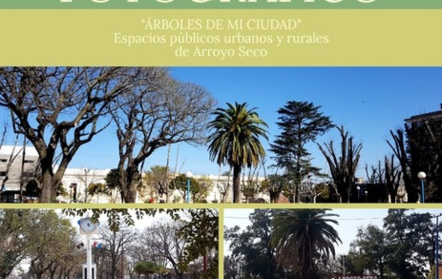 Imagen de El Profesorado 21 invita a participar de un concurso fotogr&aacute;fico sobre el arbolado de la ciudad
