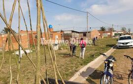 La Comuna y un importante trabajo de forestaci&oacute;n.