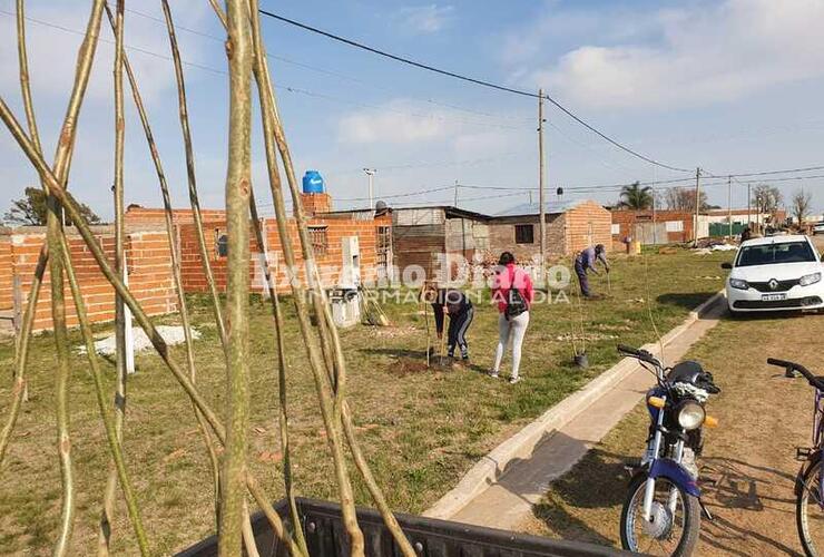 La Comuna y un importante trabajo de forestación.