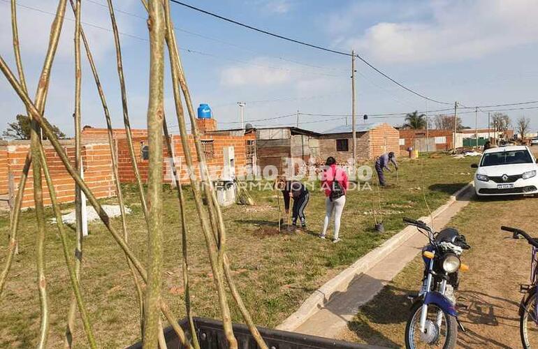 La Comuna y un importante trabajo de forestación.