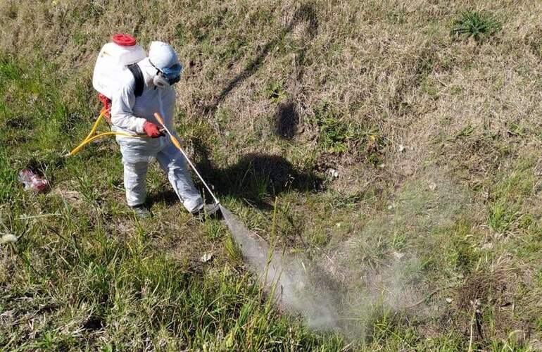 Los trabajos de fumigación iniciaron hace algunos días.