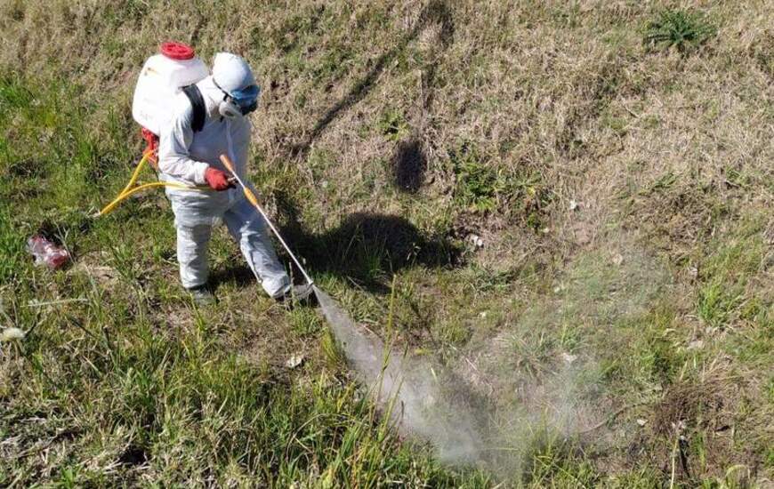 Los trabajos de fumigaci&oacute;n iniciaron hace algunos d&iacute;as.