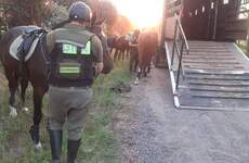 La zona ribere&ntilde;a, una de las m&aacute;s controladas.