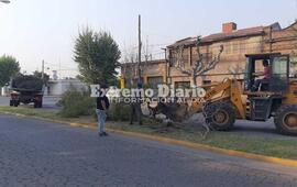Se registraron vientos superiores a los 60 km/h