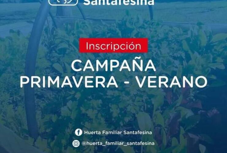 Imagen de Programa Huerta Familiar Santafesina: Inscripción para la Campaña Primavera - Verano