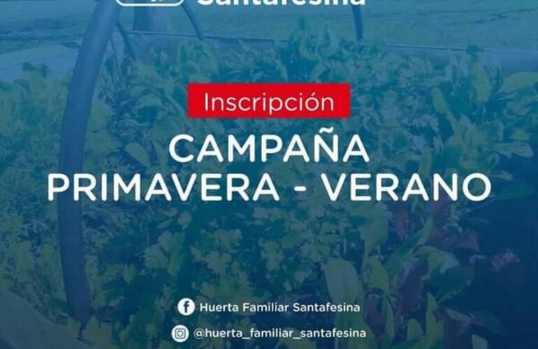 Imagen de Programa Huerta Familiar Santafesina: Inscripción para la Campaña Primavera - Verano