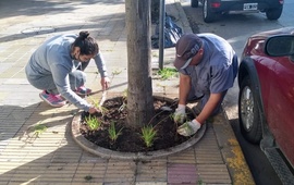 Foto: Municipalidad