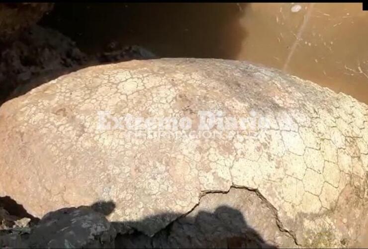 Autoridades dieron aviso al Equipo de Investigación de Paleontología de Argentina