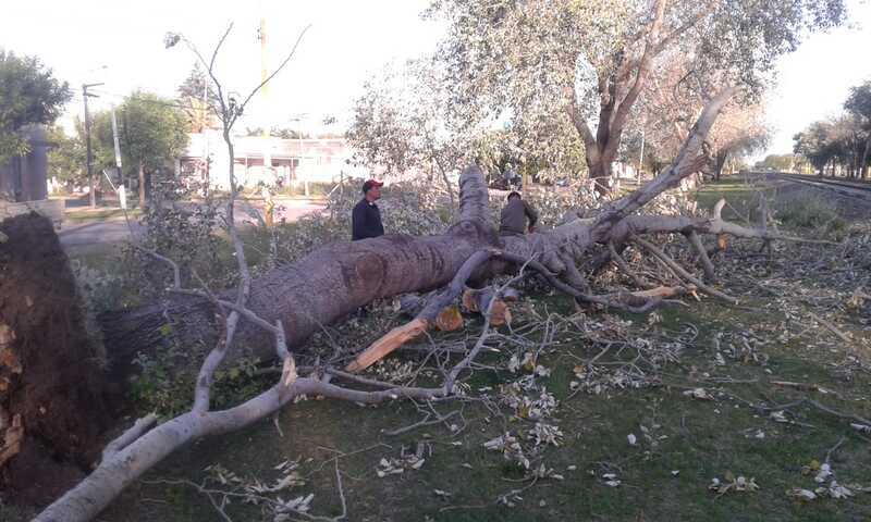 Foto: Municipalidad
