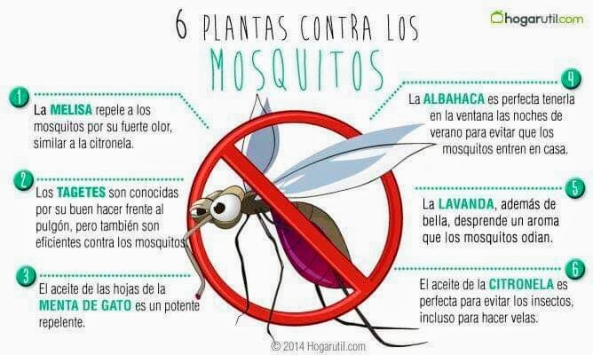 Los controles comenzaron en octubre