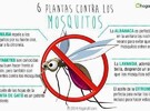 Los controles comenzaron en octubre
