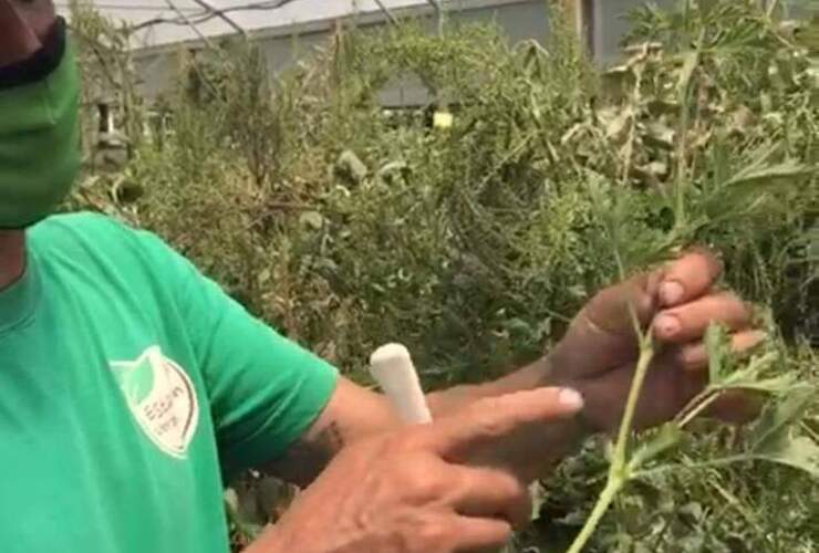 Valentín Mascó, encargado del espacio, inició con la entrega a vecinos.