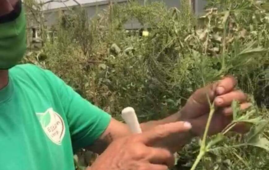 Valent&iacute;n Masc&oacute;, encargado del espacio, inici&oacute; con la entrega a vecinos.