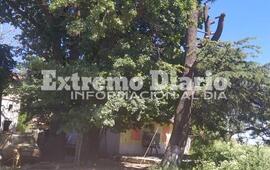 La escuela se encuentra en el ingreso norte de la ciudad por Ruta 21