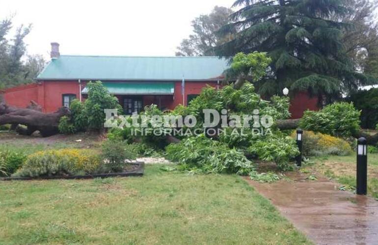 La comunidad lamentó el daño de la tormenta.