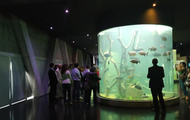 Imagen de Reclaman la reapertura del Acuario del R&iacute;o Paran&aacute;