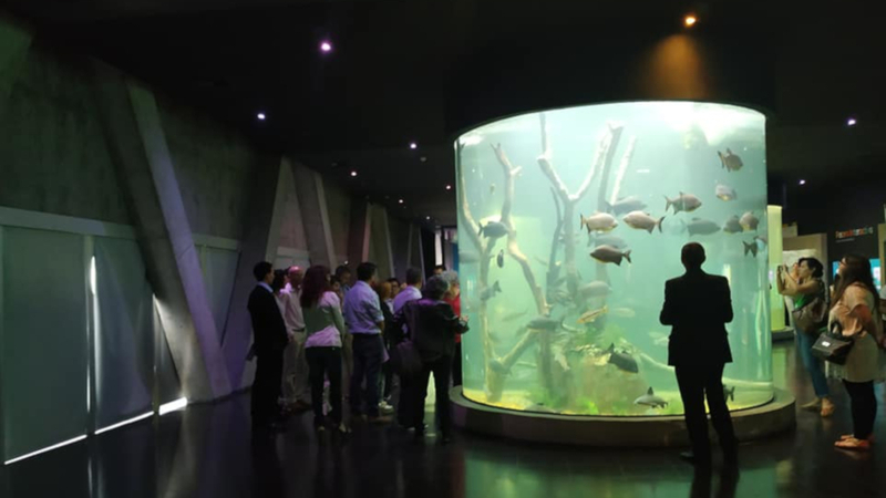 Imagen de Reclaman la reapertura del Acuario del R&iacute;o Paran&aacute;