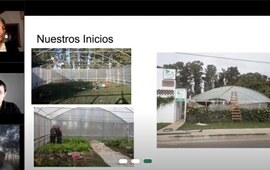 Imagen de General Lagos: El Vivero particip&oacute; de un encuentro virtual de 'Emprendedores Verdes'
