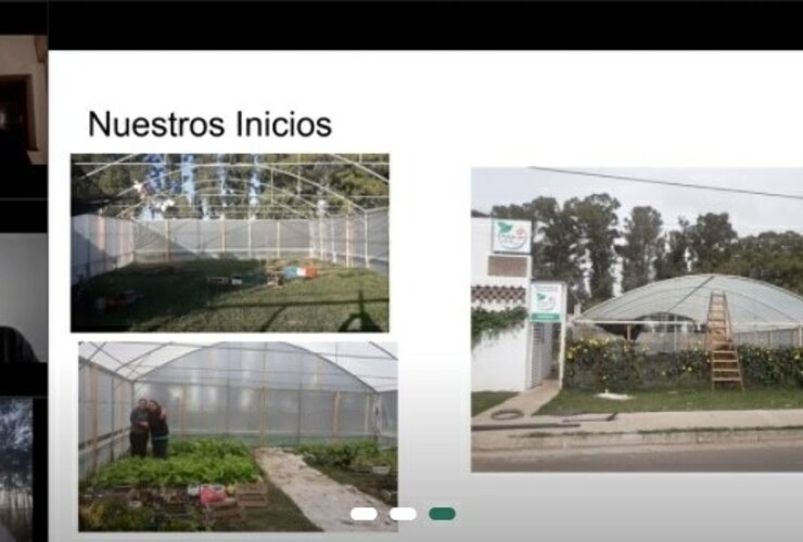 Imagen de General Lagos: El Vivero participó de un encuentro virtual de 'Emprendedores Verdes'