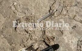 Imagen de Repudio: Dejaron jeringas en el dep&oacute;sito de pilas del Ecocentro