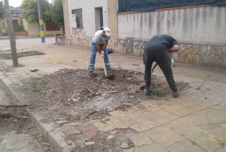 Foto: Municipalidad