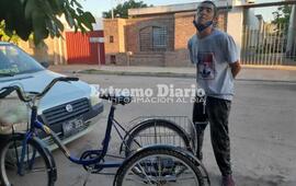 Imagen de Indignante: Automovilista choc&oacute; a Panchito y se dio a la fuga