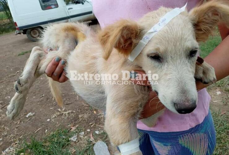 Se realizó esta mañana en el Salón Dorado del ASAC