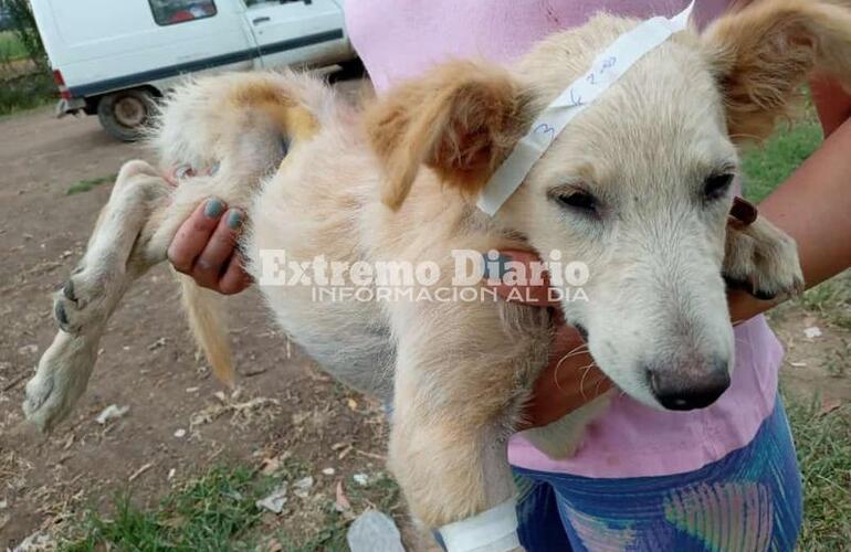 Se realiz&oacute; esta ma&ntilde;ana en el Sal&oacute;n Dorado del ASAC