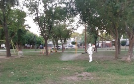 Foto: Municipalidad