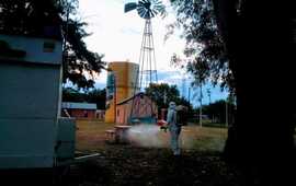 Foto: Municipalidad