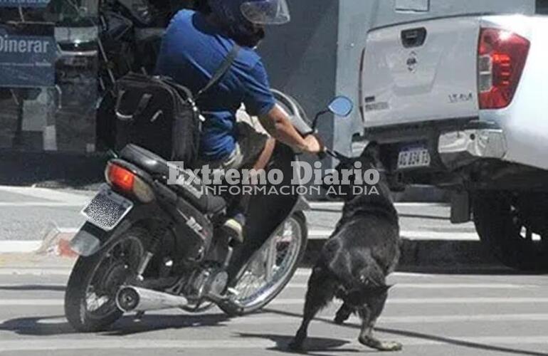 Foto: Imagen Ilustrativa