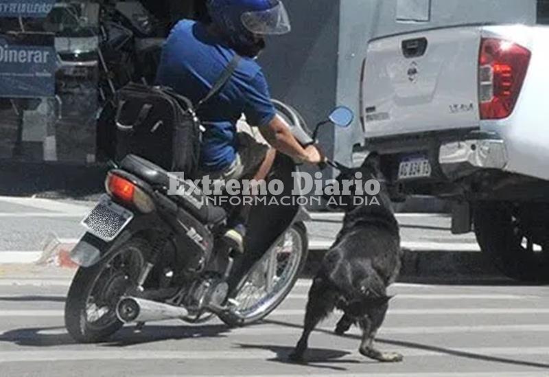Foto: Imagen Ilustrativa