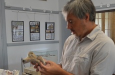 Foto: Municipalidad